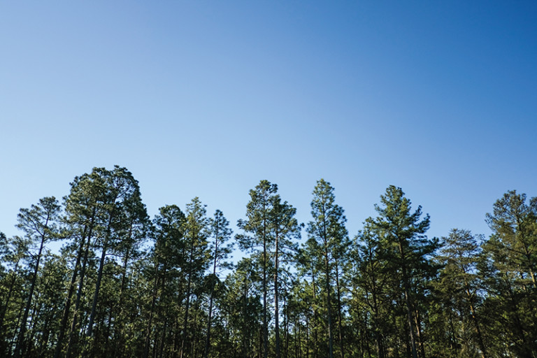 Around Towns Southern Pines Charlotte Magazine