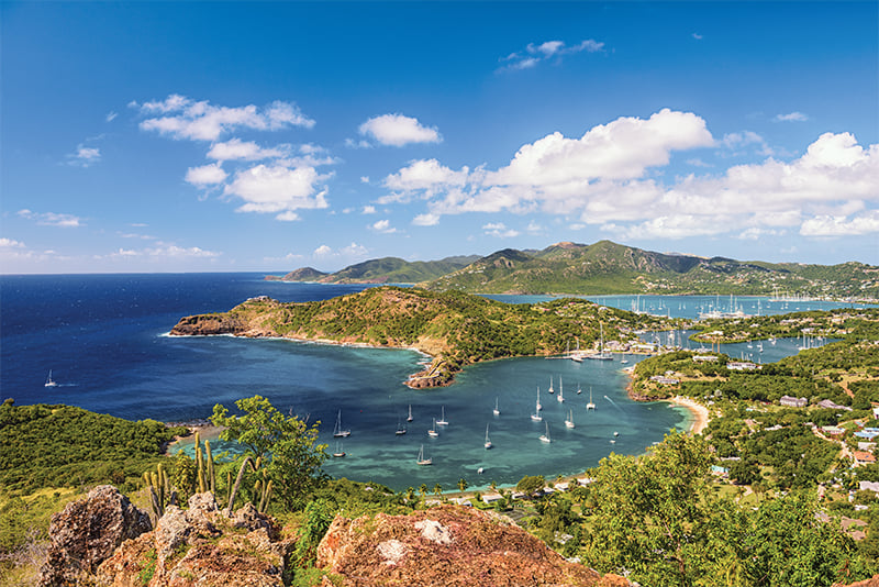 Direct Flight: Stingray City, Antigua - Charlotte Magazine