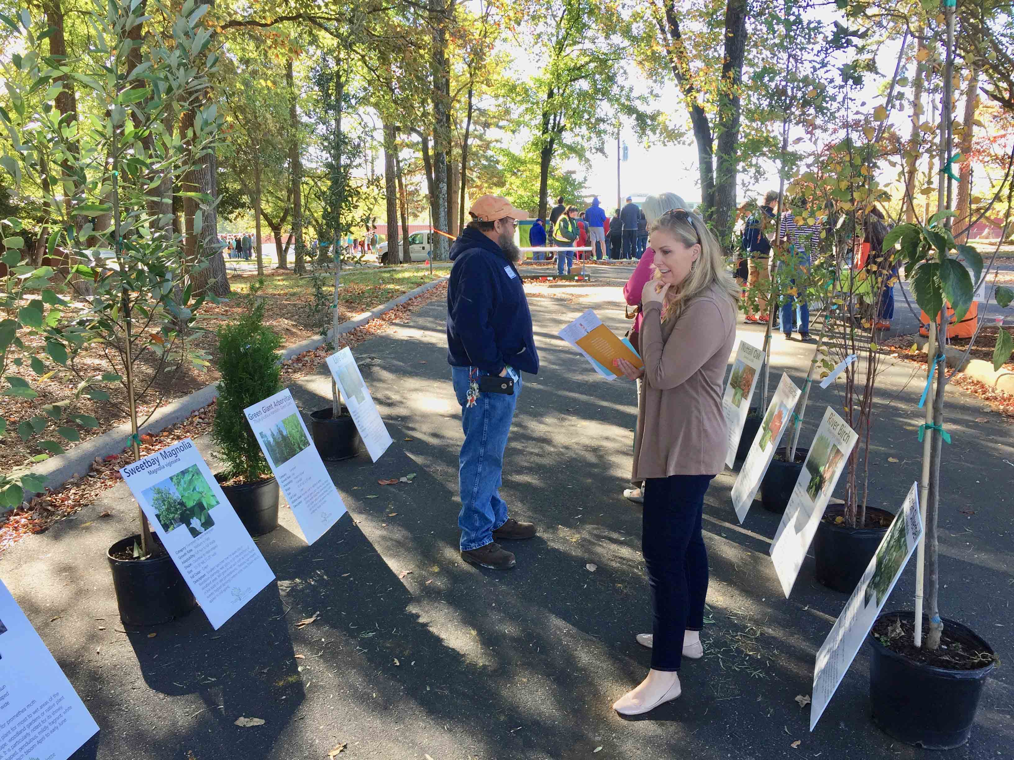 Take Home A Free Tree This Saturday Charlotte Magazine