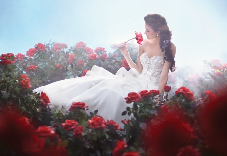 Disney Fairy Tale Weddings Charlotte Magazine