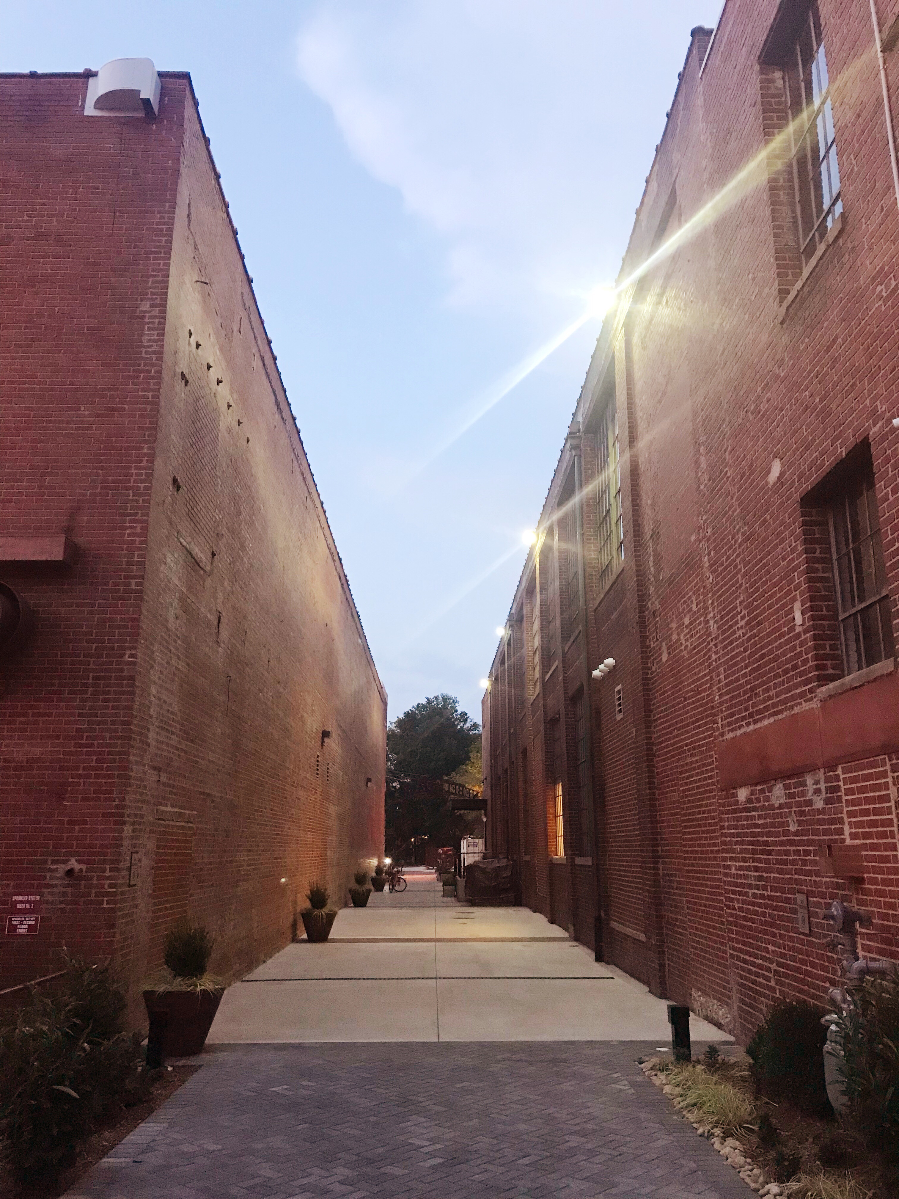 5 Things To Know About Nebel S Alley South End S New Romantic Night Market Charlotte Magazine