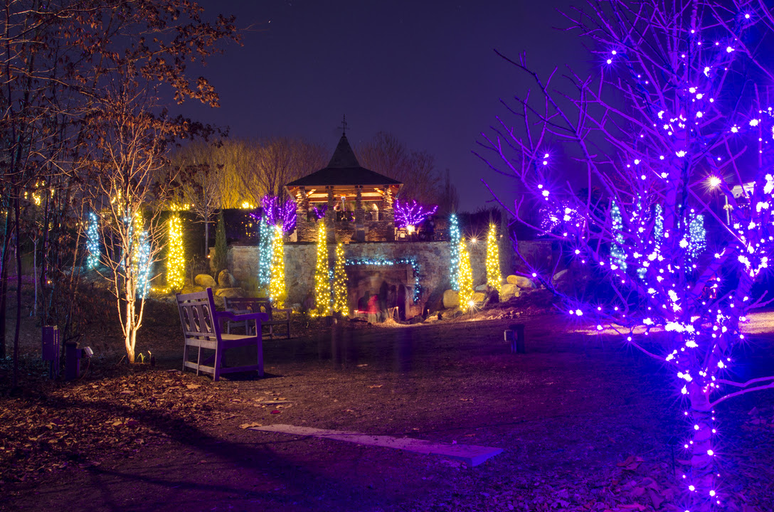 Light up the Night with Holidays at DSBG - Charlotte Magazine