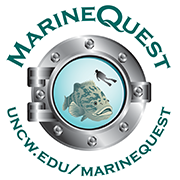 UNCW MarineQuest