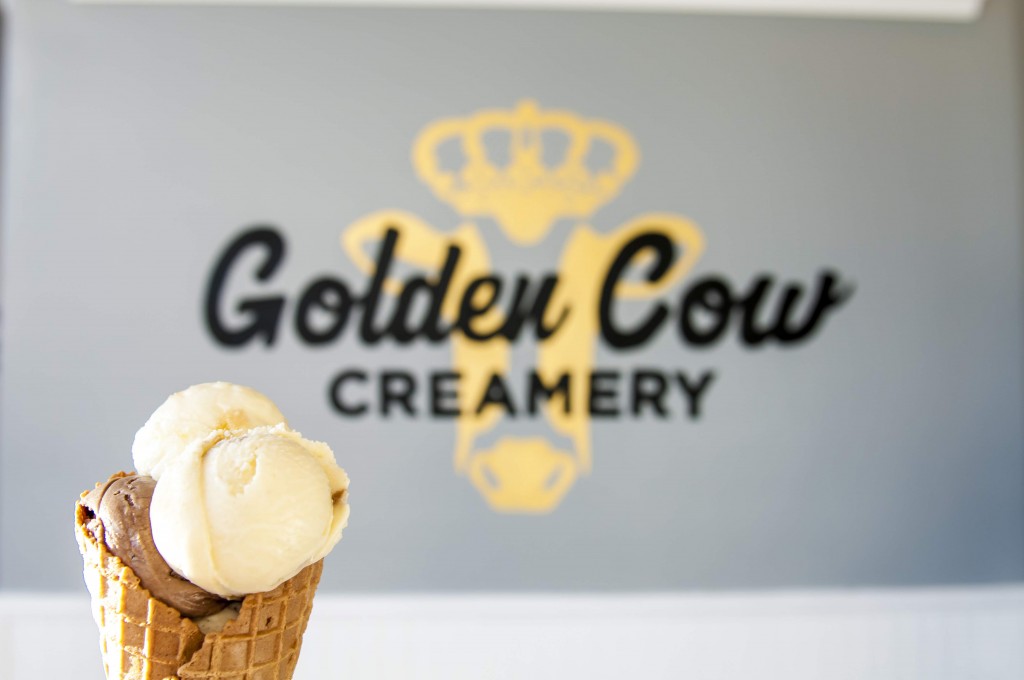 5 Ice Cream Spots In South End With Kid Approved Flavors Charlotte Parent