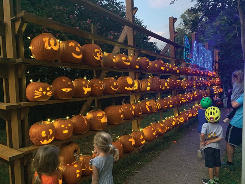 A Fall Activity Guide for Charlotte Families 2020 Charlotte Parent