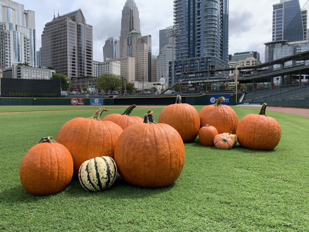 Pumpkins At Truist Field 1