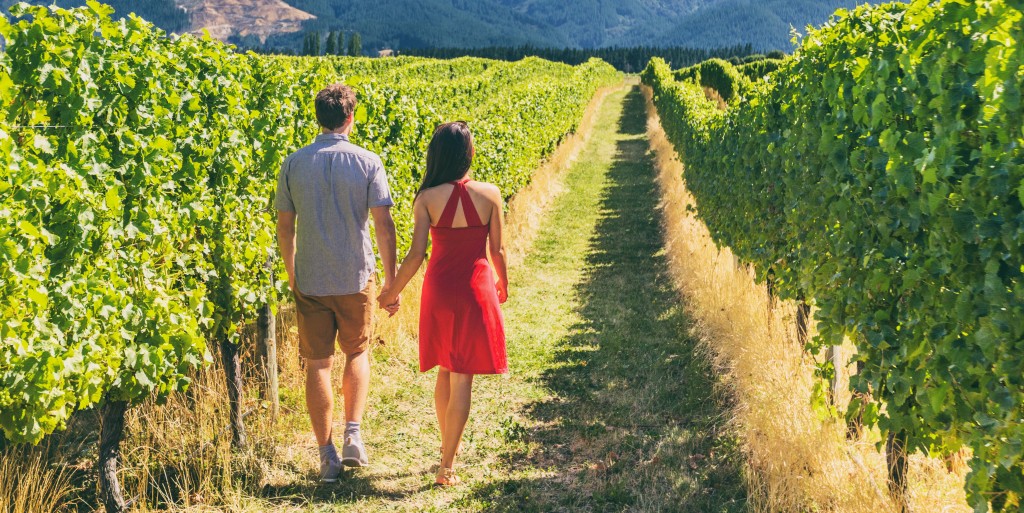 The Vineyards at Aquebogue