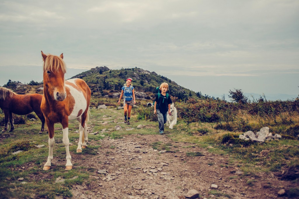 Grayson Highlands State Park