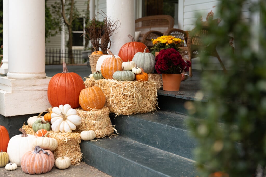 Prettyporchpumpkins 3