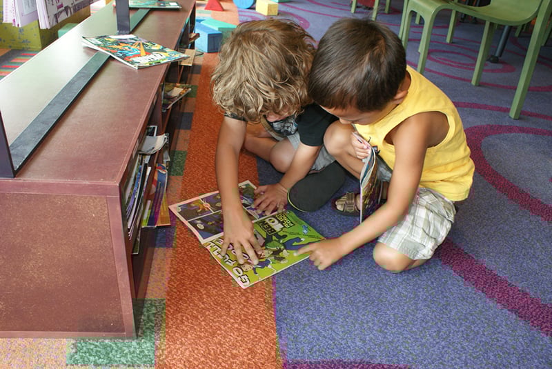 Imaginon