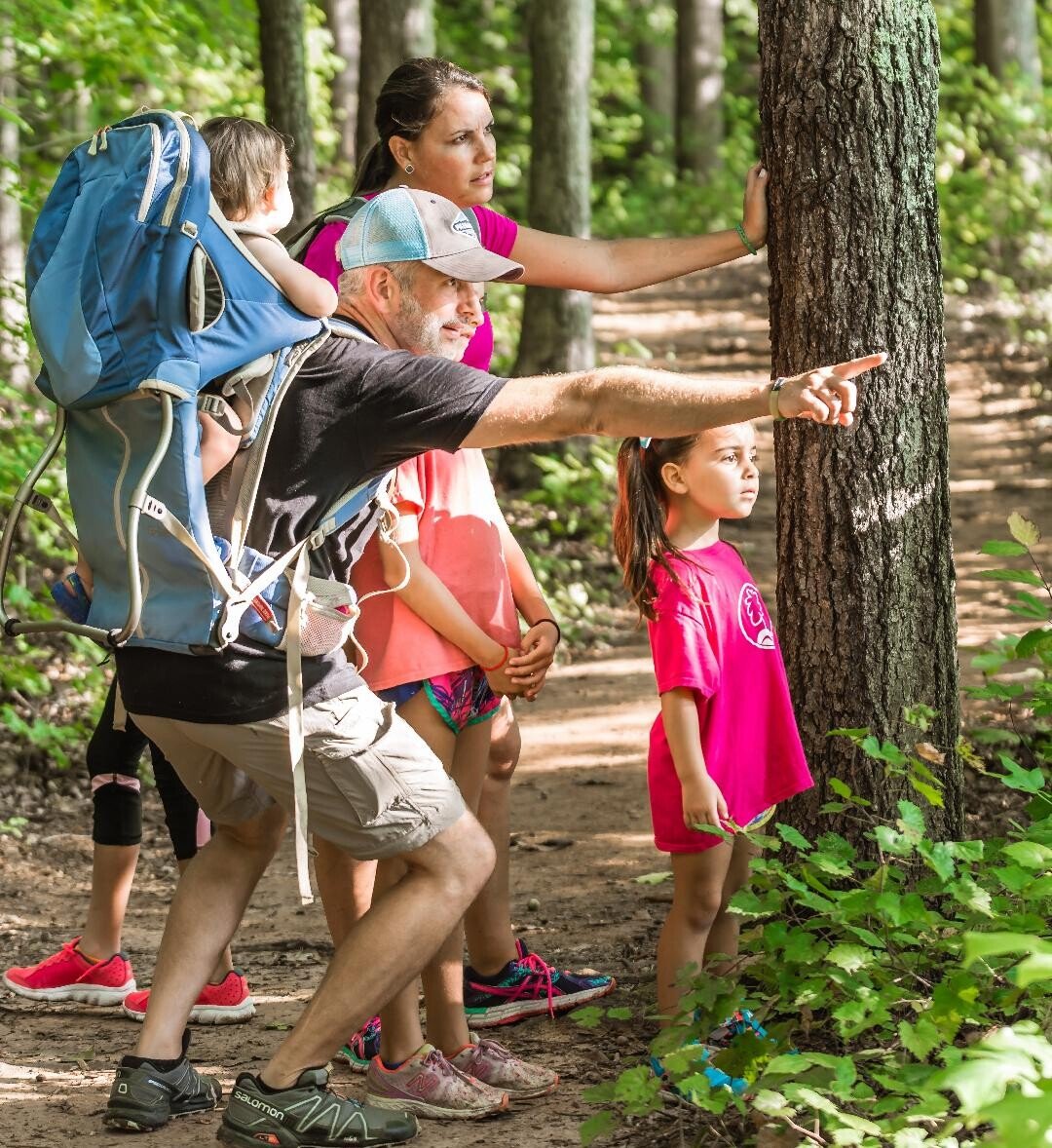 Guide to Planning a Summer Hiking Adventure for Kids and Teens in