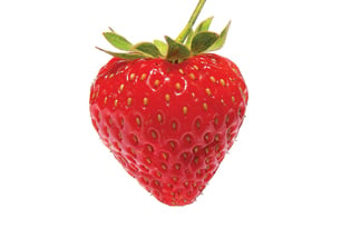 Strawberry 315