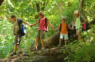 Summercamp 315
