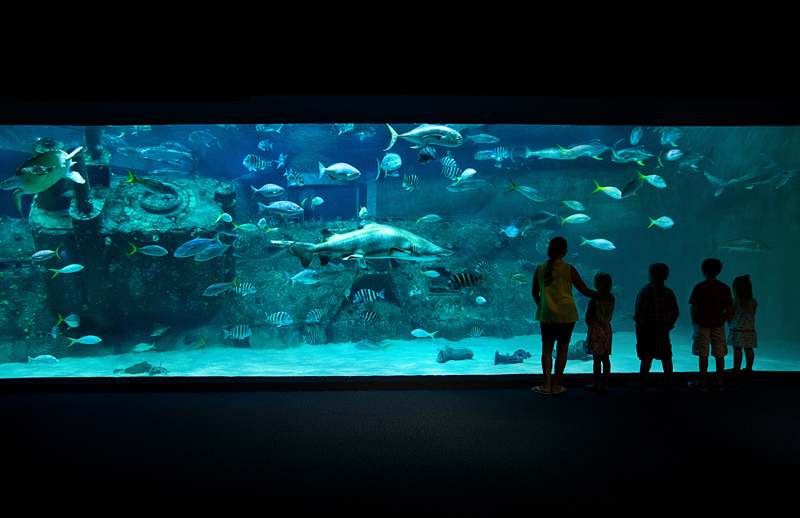 L'aquarium de Caroline Beach en Caroline du Nord - NorthCarolinaAquariumatPineKnollShores