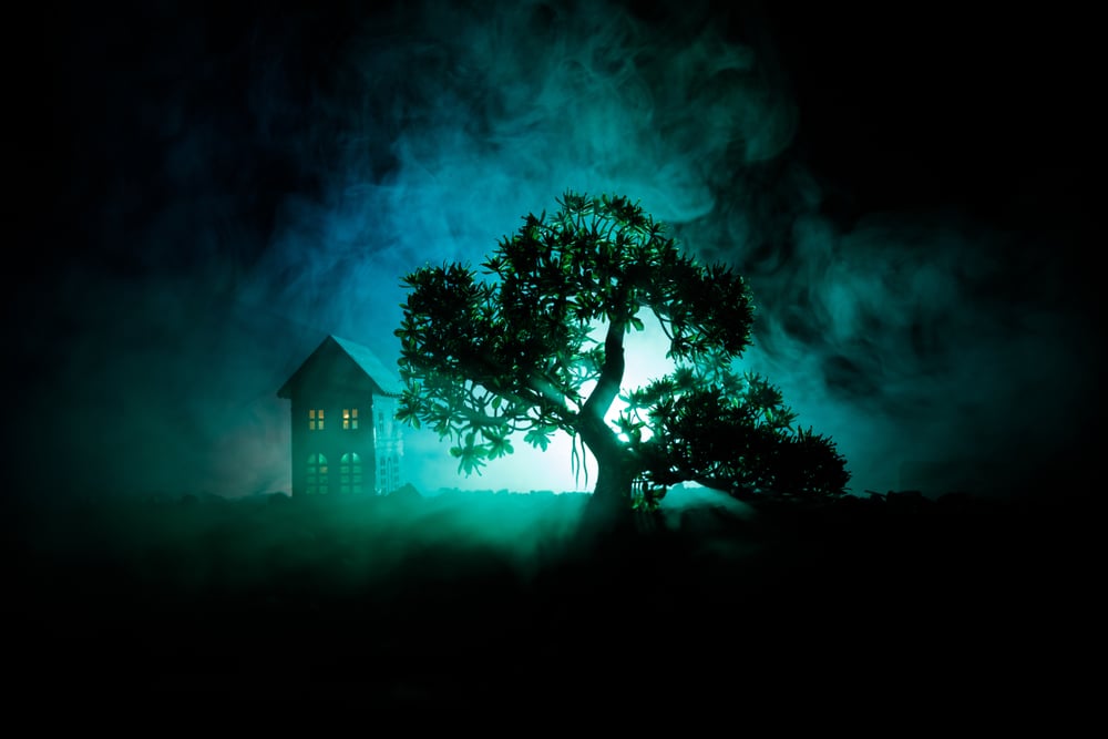 Is my Child too Young for a Haunted House? - Charlotte Parent
