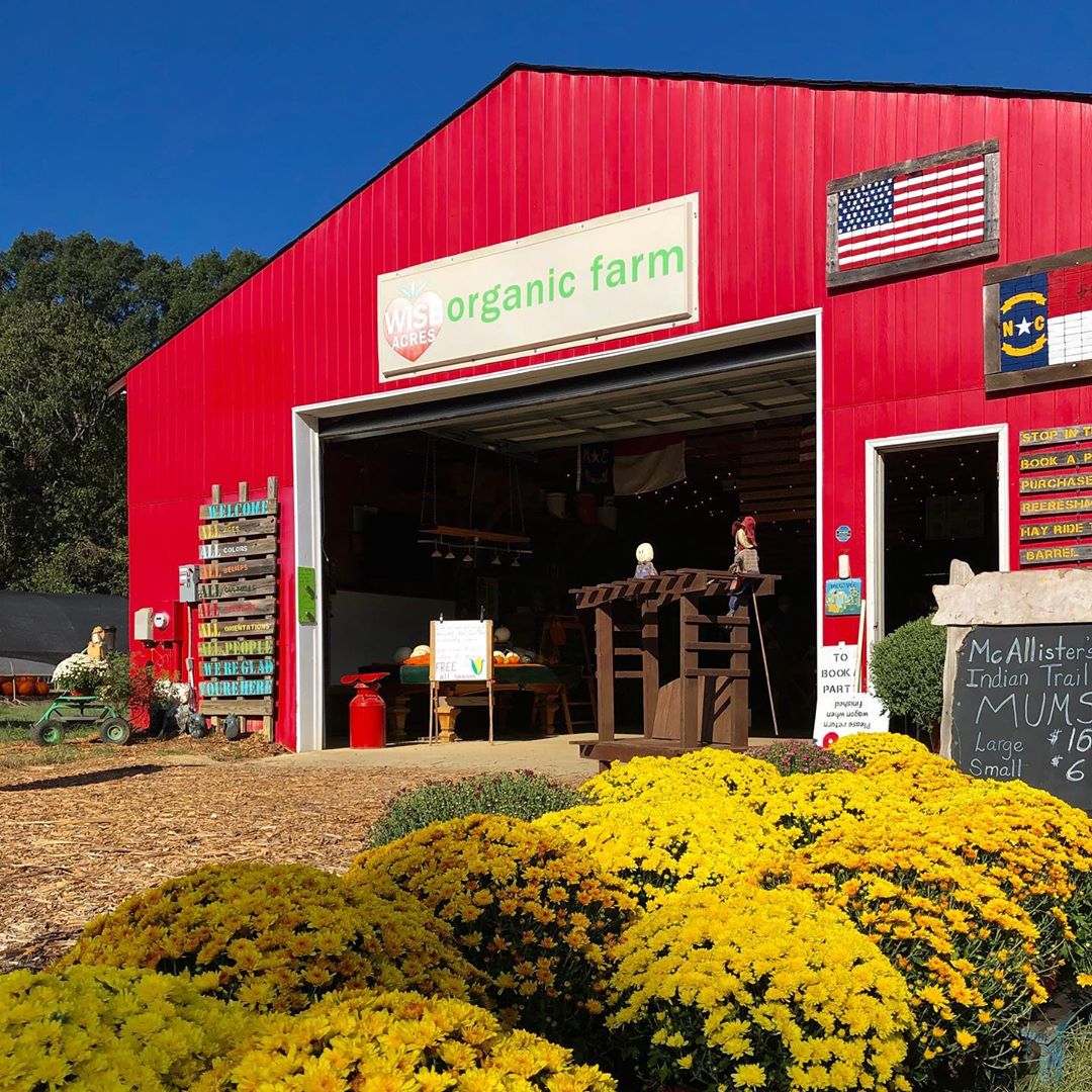 FallThemed Dates for KidFree Days Charlotte Parent