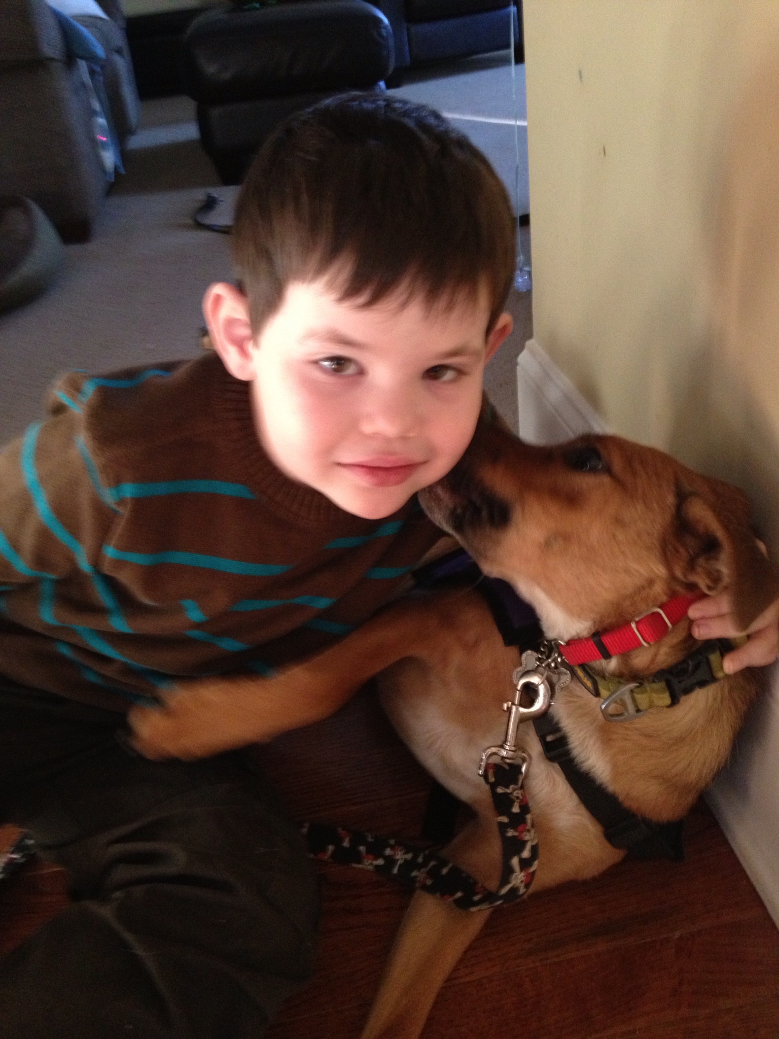 How Service Dog Help Children With Special Needs