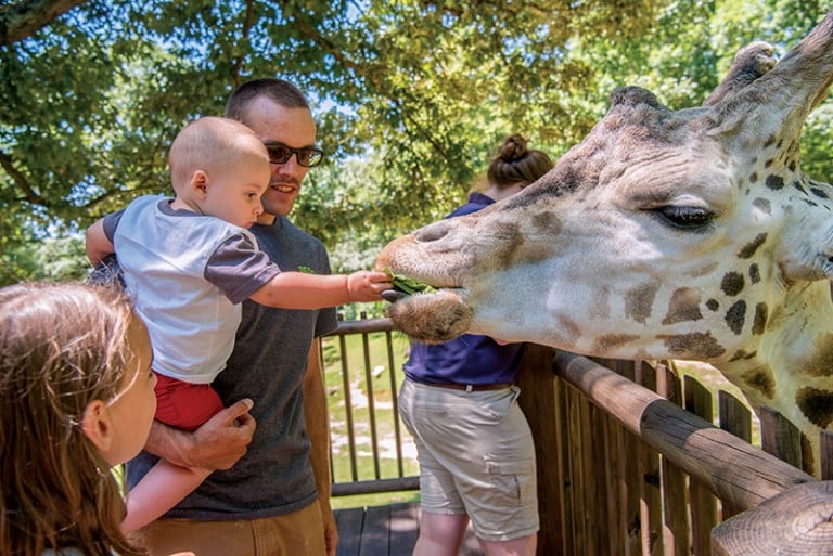 drive through zoo charlotte nc