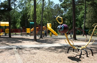 Playground Review: Park Road Park - Charlotte Parent