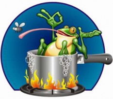 Boiling Frog 001