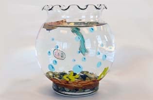 Fishbowl 315