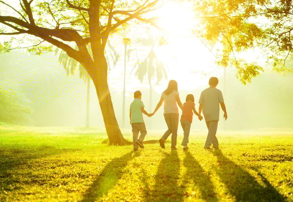 Shutterstock 120079894