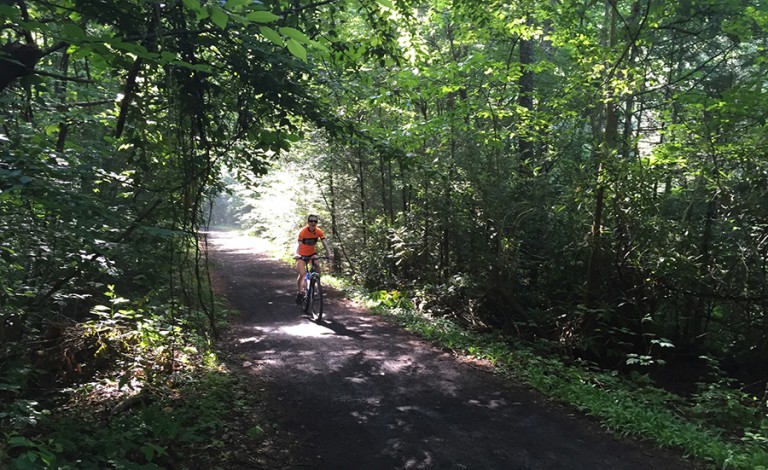 Family Vacation: Bicycling the Virginia Creeper Trail - Charlotte Parent