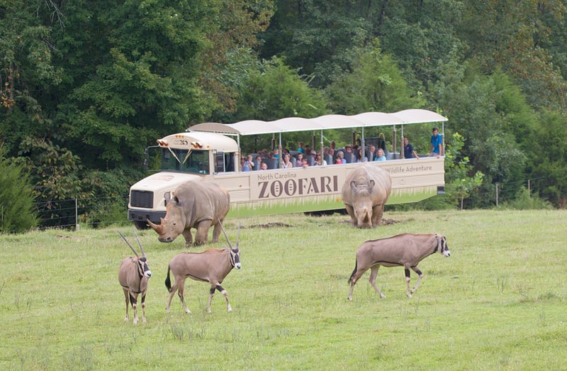 north carolina zoo tour