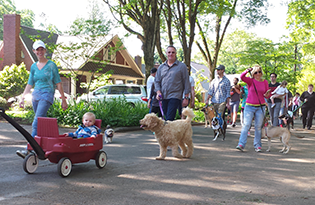 Plaza Midwood Stroll