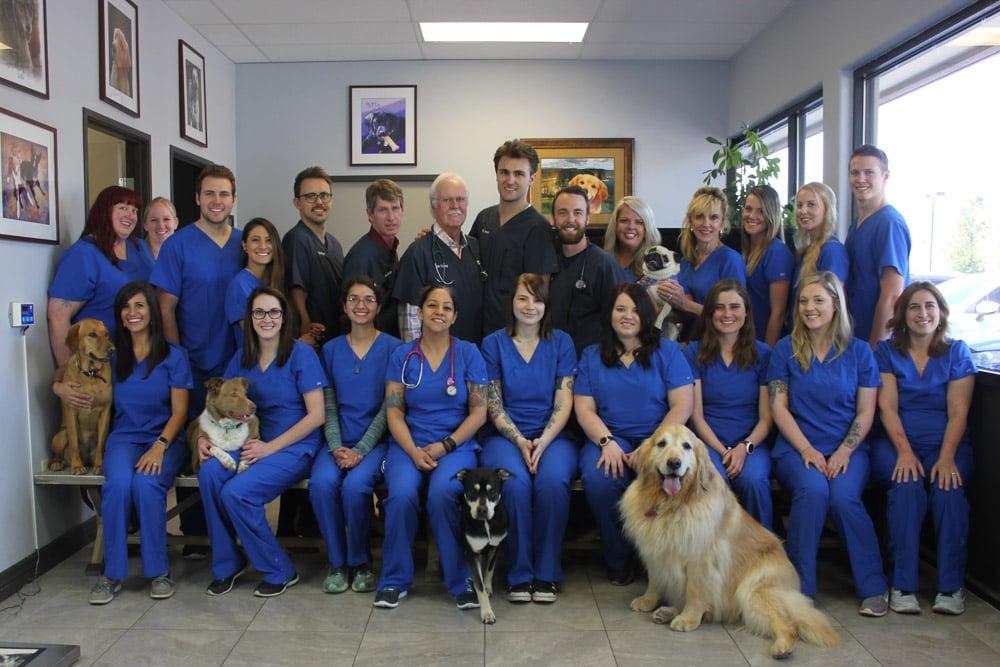 Animal Planet captures laughter and tears of family vet clinic