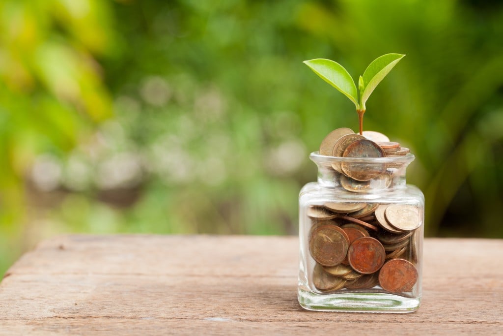 Plant,growing,in,savings,coins,on,wooden, ,investment,and
