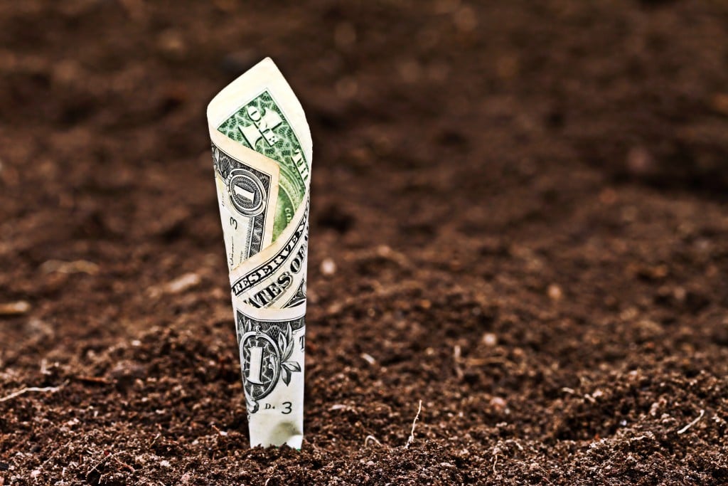 Money,growing.,one,dollar,bill,in,soil.