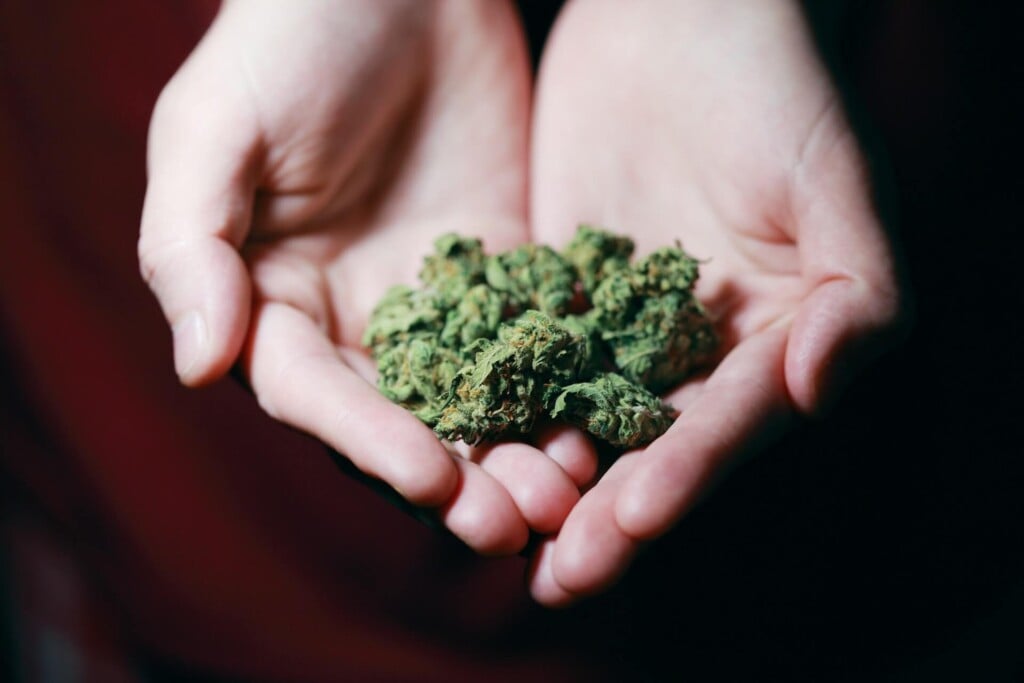 marijuana legalization in Colorado