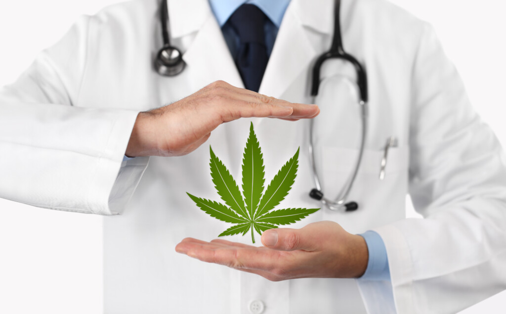 Cannabis Cares Program: Doctor Hands With Marijuana Symbol Medical Concept