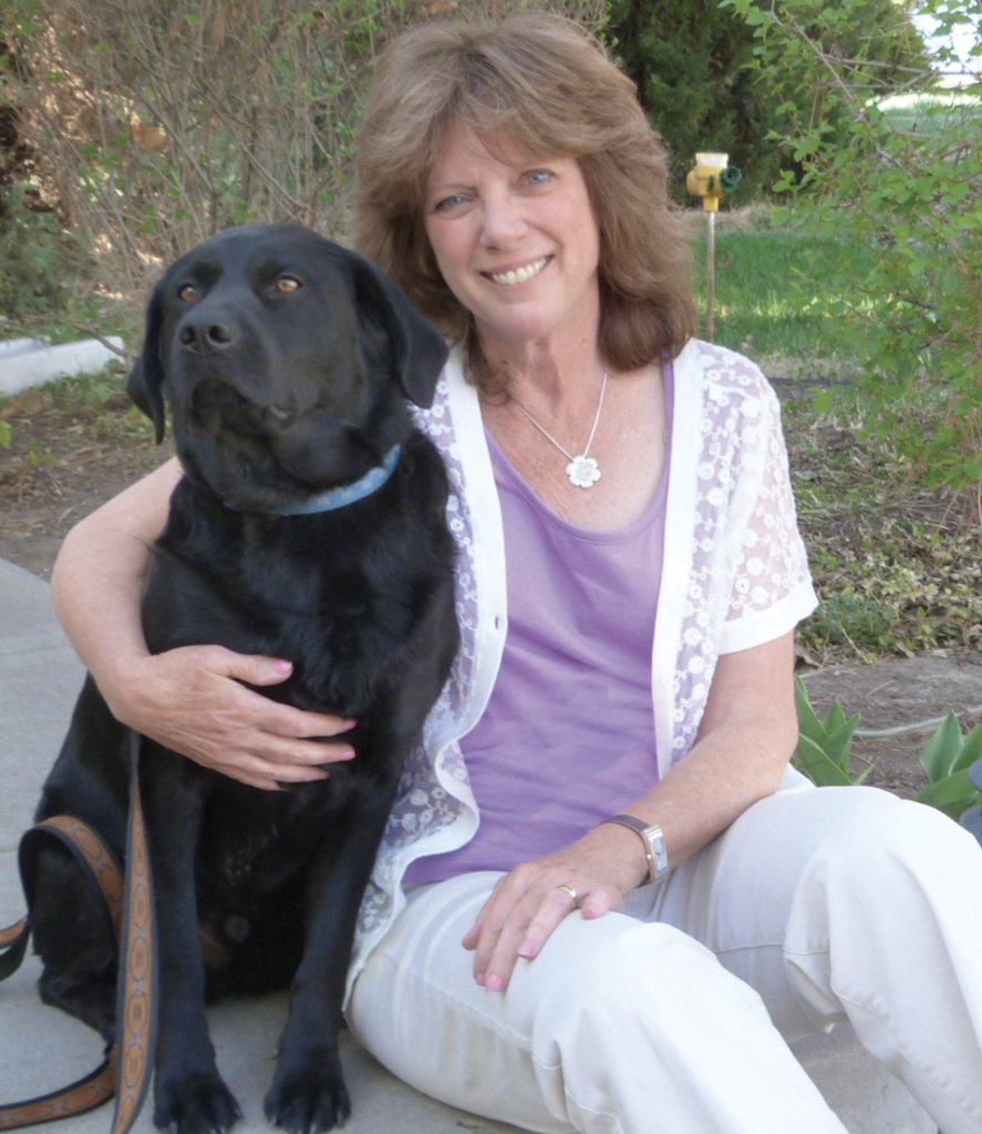 chocolate lab rescue colorado