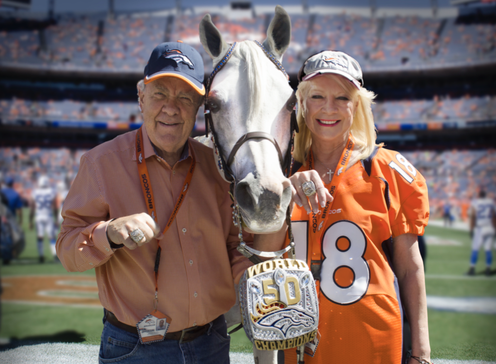 Denver Broncos vs Seattle Seahawks in Super Bowl 48 - Horse Tracks