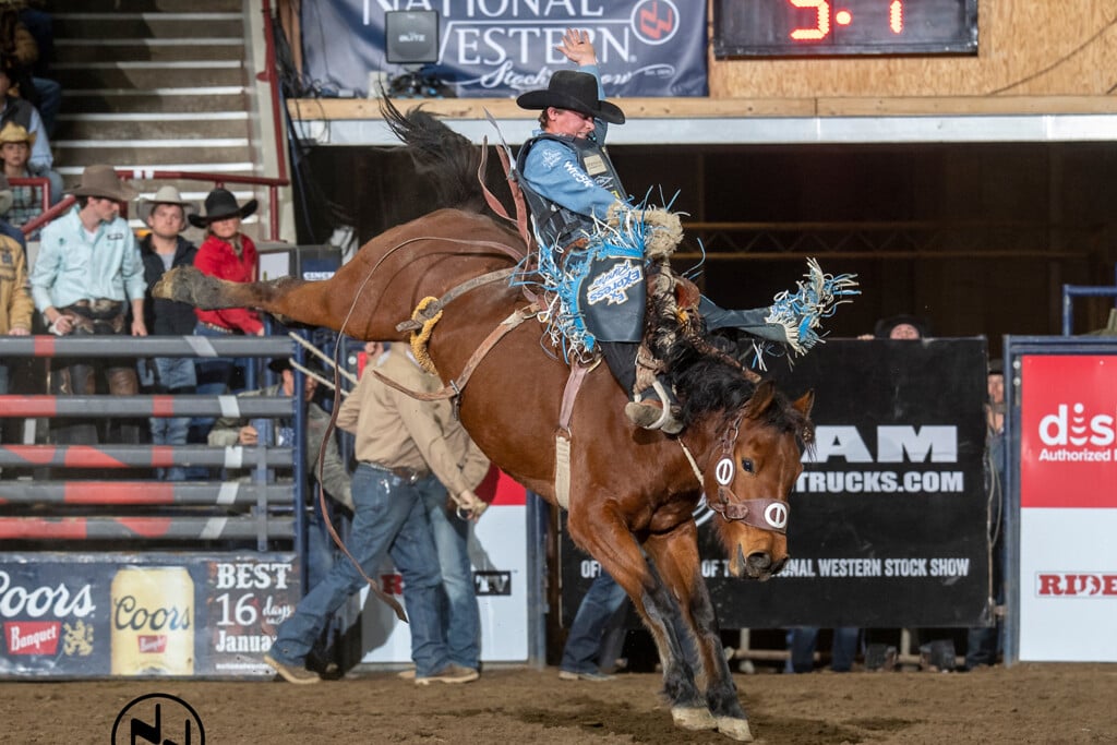 Pro Rodeo 3