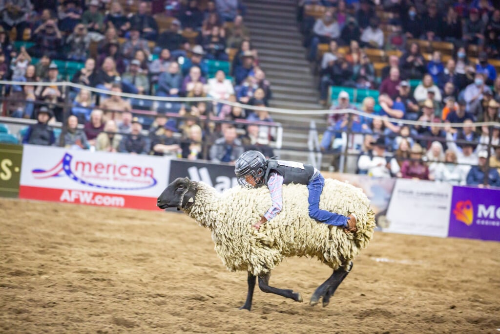 Pink Pro Rodeo Experience An Exciting Western Weekend Full Of Bucking Bulls And ...