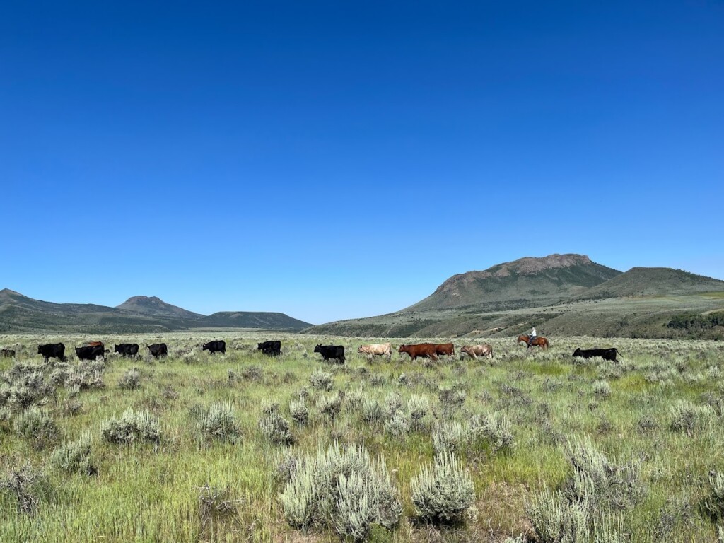 Travel West For A Luxurious And Historical Weekend Getaway - Colorado