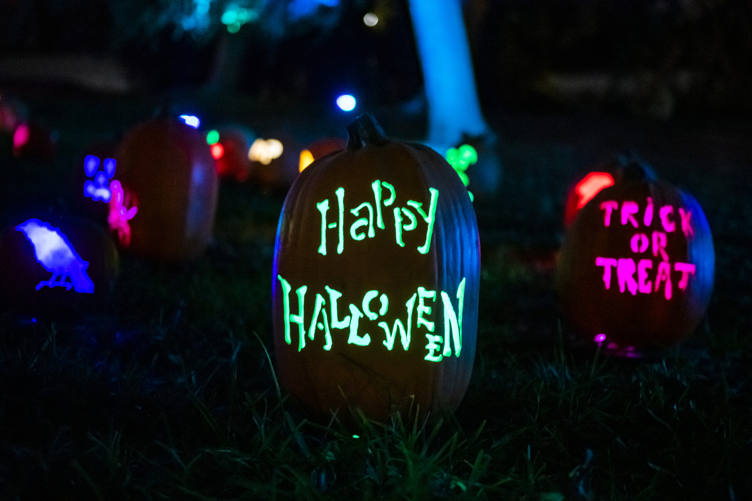 Magic Of The Jack O'Lanterns Illuminates Hudson Gardens - Colorado