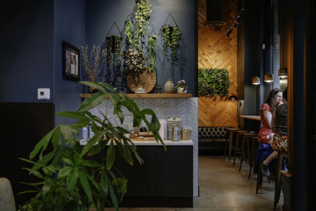 Little Finch Interior