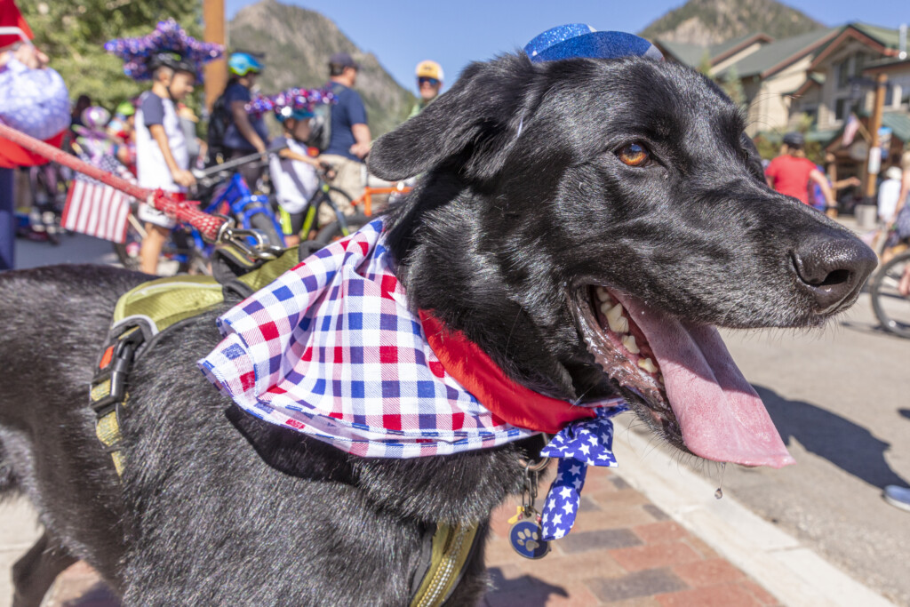 Bikes & Barks July Fourth Parade, 2021, Frisco, Main Street, Frisco, Colorado