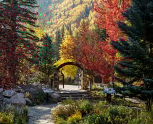 Betty Ford Gardens Photo Credit Todd Winslow Pierce Twp Bfag40244