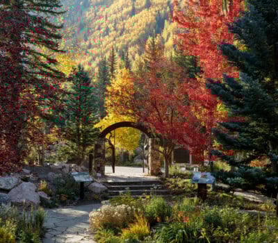 Betty Ford Gardens Photo credit Todd Winslow Pierce TWP-BFAG4024.4 Betty Ford Gardens Photo Credit Todd Winslow Pierce Twp Bfag40244