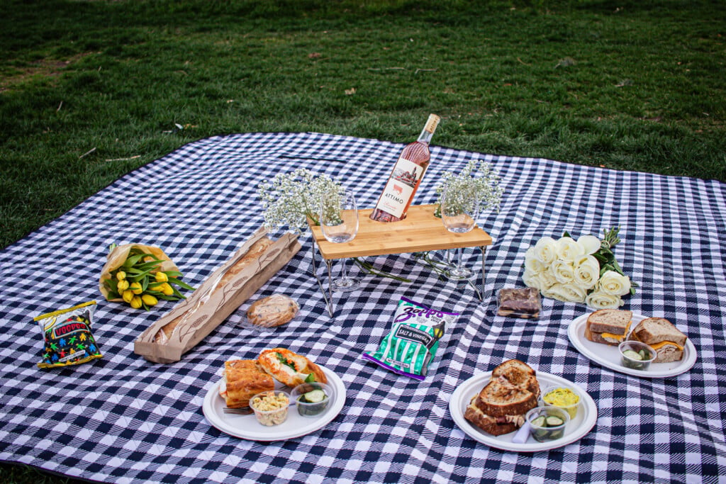 Picnic Setting 04