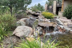 Phase One Landscapes