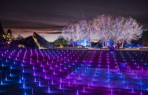 Light up the Night at the Denver Botanic Gardens - Colorado Homes ...