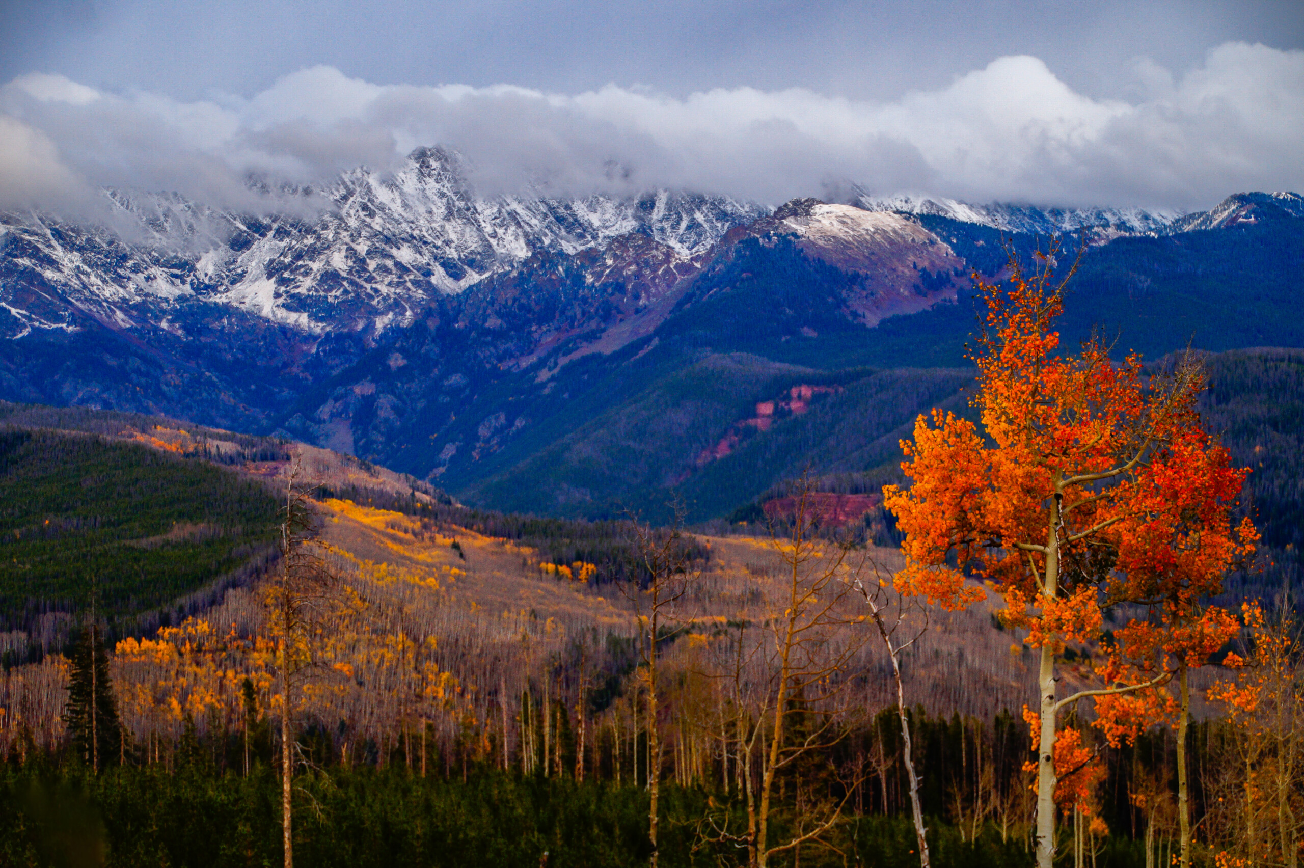 Set Your Sights on the Beauty of the Changing Leaves - Colorado Homes ...