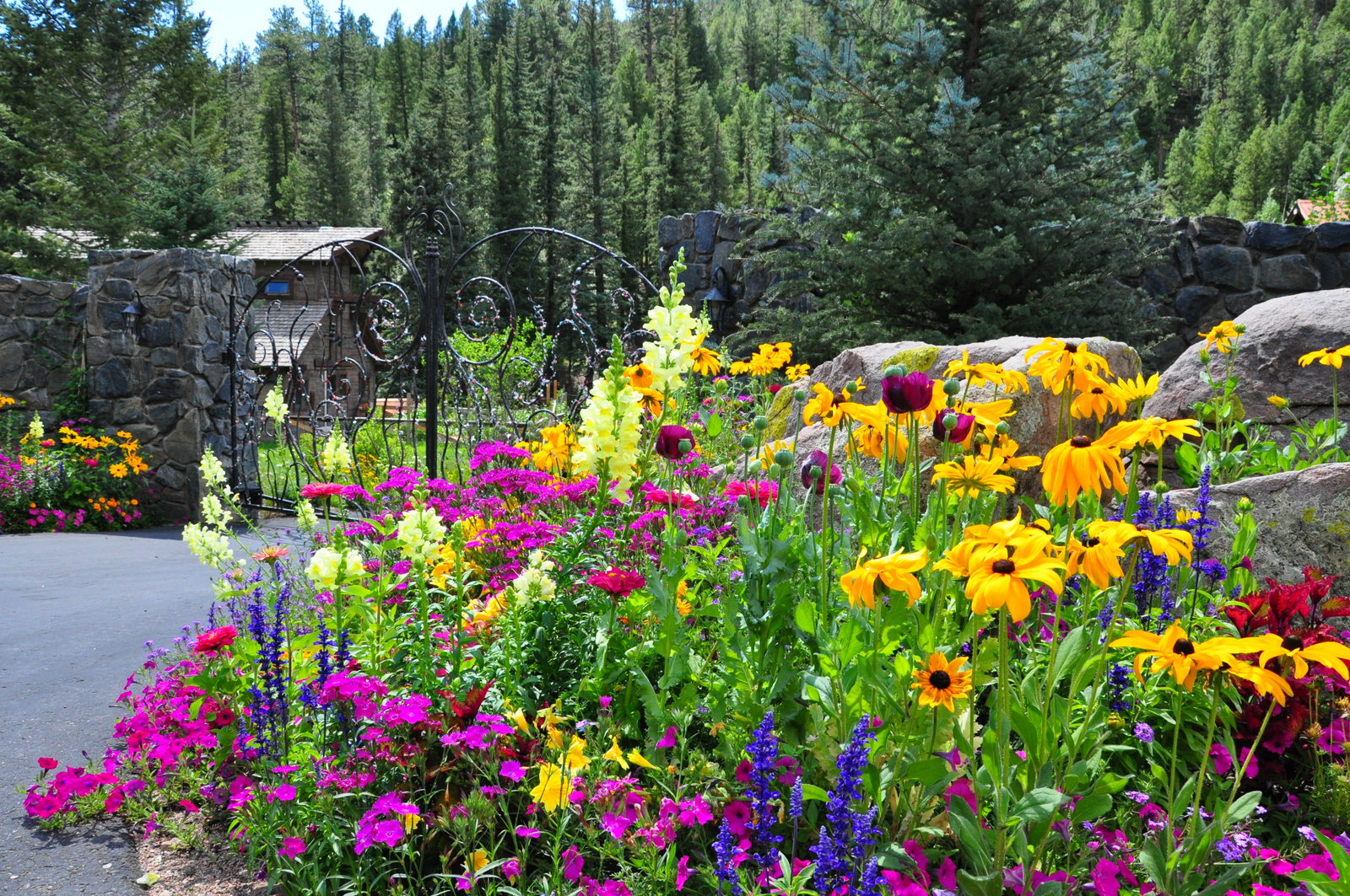 Freshen Up Your Garden With Fall Bloomers - Colorado Homes & Lifestyles