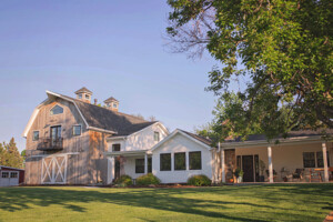 Chl Pp 0006 Costilla 02